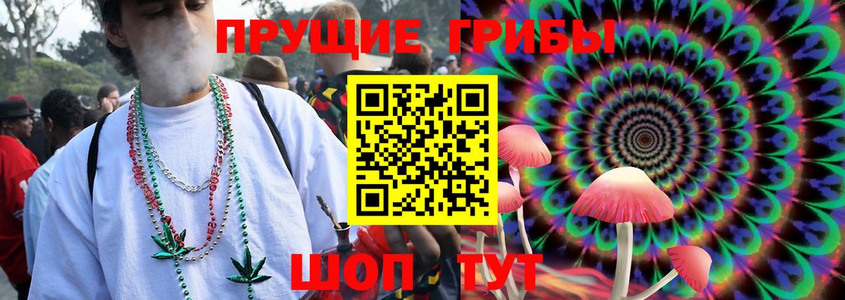 Реж  хочу наркоту  Вход с VPN  Галлюциногенные грибы Psilocybine cubensis 