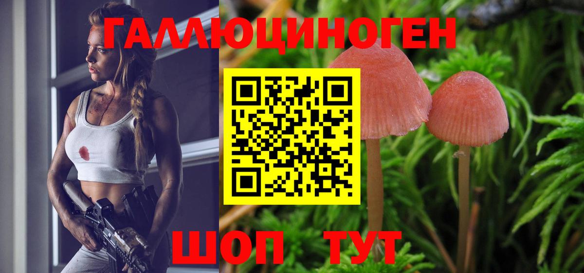 Галлюциногенные грибы GOLDEN TEACHER Реж